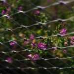 Garden Protection Bird Netting How To: 7 Proven Steps to Avoid Frustrating Mistakes