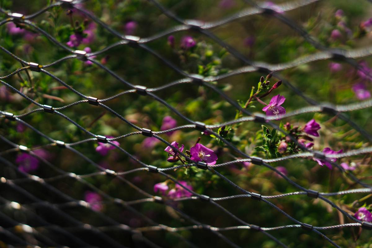 Garden Protection Bird Netting How To: 7 Proven Steps to Avoid Frustrating Mistakes
